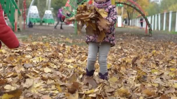 童年、家庭、婴儿、母亲、秋天的概念-慢动作2个不同民族的幼儿波斯人和斯拉夫人的外表幼儿园收集并抛出大量黄色落叶 — 图库视频影像