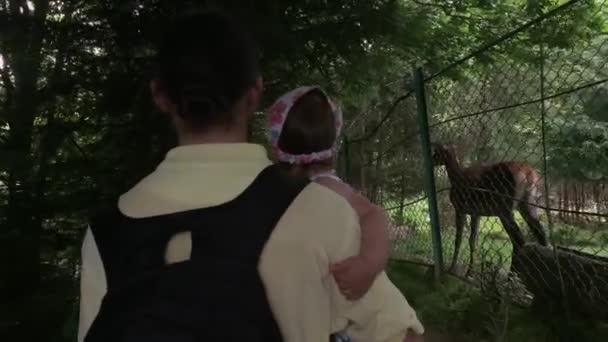 Tarım, çiftlik, doğa aile kavramı. Genç ve mutlu baba küçük kızını kucağına alıp yaz günü hayvanat bahçesindeki evcil hayvanları ziyaret ediyor. Babam ormanın yakınında bir kızla yürüyor. — Stok video