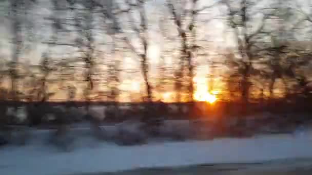 美しい自然の風景の中で高速列車の窓からの眺め冬の背景に野生の雪の霜寒いフィールドと裸の木の森晴れた夜の夕日。交通、旅行、鉄道の概念 — ストック動画