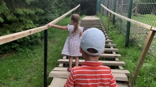 Mezőgazdaság, gazdaság, természet koncepció. boldog családi utazás látogasson el vadon élő háziállatok érintkezésbe állatkertben nyáron napsütéses nap. Két testvér óvodás gyerek gyerekek mászni fából készült lépcsőn az erdőben — Stock videók