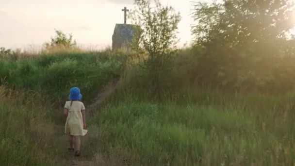 Bonito pré-escolar pequena menina em vestido amarelo subindo trilha na grama alta antes do pôr do sol. Criança a caminhar no prado selvagem. Miúdos felizes nas montanhas. infância, natureza, estilo de vida, conceito de verão — Vídeo de Stock