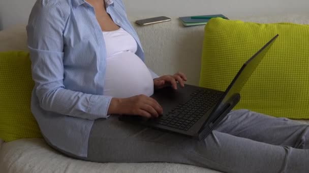 Laptop ve Noutbook 'u olan başarılı ve çalışkan hamile iş kadını. Hamilelik Çalışması Evrakları Uzaktan Akıllı Telefon İnternet ve Çevrimiçi Teknoloji 'yi Evinde Kullanıyor. Doğum izni. — Stok video