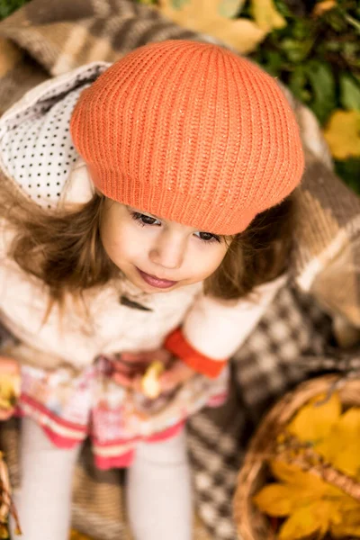 Retrato pequena menina pré-escolar em laranja boina em folhas caídas amarelas no cesto embrulhado em cobertor Dreamily olha para longe. Tempo frio em Fall Park. Infância, Família, Maternidade, Conceito de outono — Fotografia de Stock