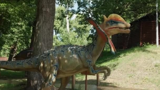 2021.08.12 - Kyjev, Ukrajina: Motorizované autentické velikosti Dinosaurus Predator Phylophosaurus Mockup v zábavním parku lesa. Výstava pohyblivých modelů Zvířata z prehistorického období v Dinoparku — Stock video