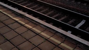 Pencereden yüksek hızlı tren manzarası güzel doğa manzarası vahşi arazi ve orman rayları yaz arkaplanında akşam günbatımında tren rayları. Ulaşım, seyahat, demiryolu, iletişim konsepti