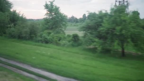 Вид з вікна високошвидкісного поїзда на пейзажі красивого дикого поля природи і лісу ввечері хмарно чистий сонячний день на літньому тлі. Транспорт, подорожі, залізниця, концепція зв'язку — стокове відео