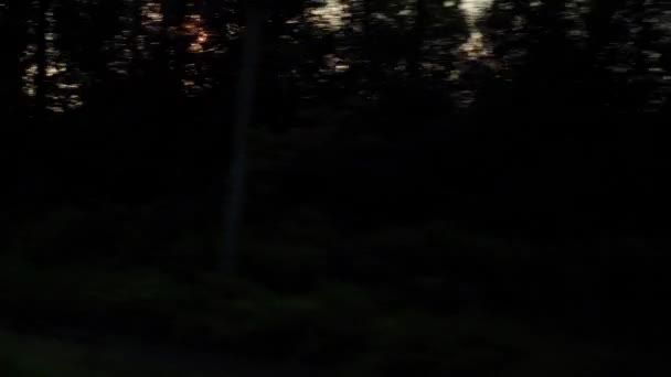 Vista desde la ventana del tren de alta velocidad en el paisaje de la hermosa naturaleza salvaje campo y bosque en la noche nublado atardecer cielo puesta de sol en el fondo de verano. Transporte, viajes, ferrocarril, concepto de comunicación — Vídeos de Stock