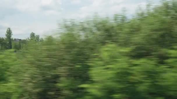 Vista desde la ventana del tren de alta velocidad en el paisaje de la hermosa naturaleza, el campo salvaje y el bosque de montañas en el nublado y limpio día soleado en el fondo del verano. Transporte, viajes, ferrocarril, concepto de comunicación — Vídeos de Stock