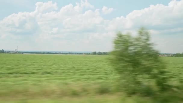 Vue depuis la fenêtre du train à grande vitesse sur le paysage de la belle nature champ sauvage et la forêt le soir nuageux propre journée ensoleillée en arrière-plan d'été. Transport, voyage, chemin de fer, concept de communication — Video