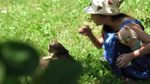 两个小孩男孩和女孩爱抚坐在草地上的猫。观看动物的孩子们在萨法里度过了愉快的时光。快乐家庭拜访野生宠物和家养宠物.人们在动物园公园里散步。自然概念 — 图库视频影像