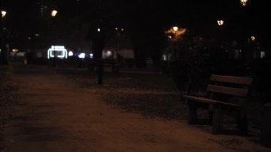 Hava tahmini, anormallik, acil durum, kış konsepti - dengesiz el tipi kar fırtınası. Sokak lambaları ışığında düşen kar taneleri. Kiev 'de kar yağarken park sokağından geçen insanlar..