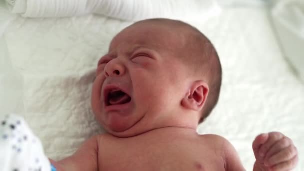 Nahé Novorozené Dítě Červená Tvář Portrét Akné Alergické Dráždivost Časné Dny Pláč Na Bílém Pozadí. Dítě na začátku minuty života. Kojenci, porod, první okamžiky narození, počátky konceptu — Stock video