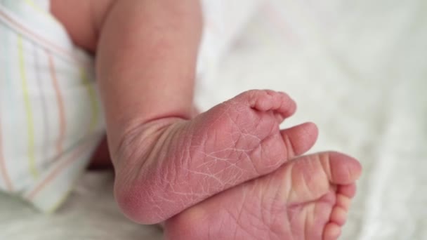 Pequeños bebés recién nacidos lindos pies desnudos y dedos de los pies Primeros días de vida sobre fondo blanco. Primer plano de la piel seca de las piernas pequeñas del bebé que duerme dulcemente en la cama cómoda suave. Infancia, Concepto de Maternidad — Vídeos de Stock