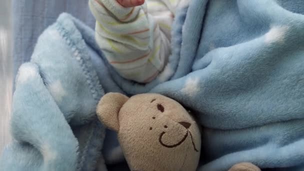 Close-up de Retrato de Rosto de Bebê Recém-Nascido Primeiros Dias Dormindo Com Urso Tady Em Fundo Azul. Criança no início minutos de vida no chapéu. Bebês, Parto, Primeiros Momentos de Borning, Princípio de Início — Vídeo de Stock