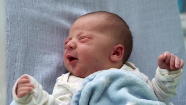 Despierto Recién Nacido Cara Retrato Acné Irritaciones alérgicas Primeros días Grimace llorando sobre fondo azul. Minutos de vida de inicio de niño. Bebés, Parto, Primeros Momentos Del Nacimiento, Principio Concepto — Vídeos de Stock