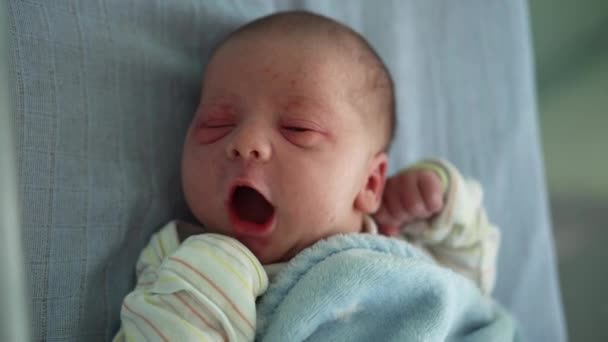 Awake Hungry Newborn Baby Face Portrait Acne Irritações alérgicas Early Days Grimace On Blue Background. Criança começa minutos de vida. Bebês, Parto, Primeiros Momentos de Borning, Princípio de Início — Vídeo de Stock