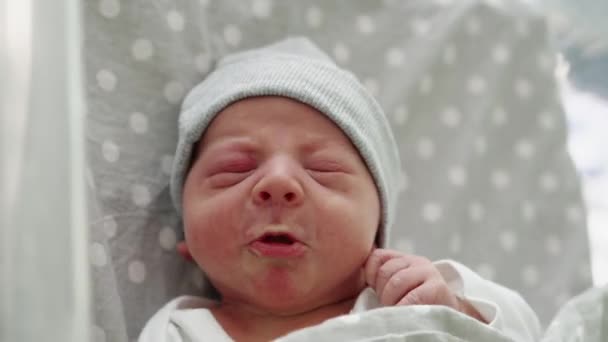 Pasgeboren baby rood schattig gezicht portret vroege dagen huilen in medisch glas bed op grijze achtergrond. Kind aan het begin minuten van het leven op hoed. Zuigelingen, Bevalling, Eerste momenten van Borning, Beginnen Concept — Stockvideo