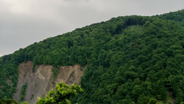 Panoramic Timelaple Rainy weather in mountains. Misty fog blowing over pine tree forest. Aerial footage of spruce forest trees on mountain hills at misty day. Morning fog at beautiful autumn forest — Stock Video