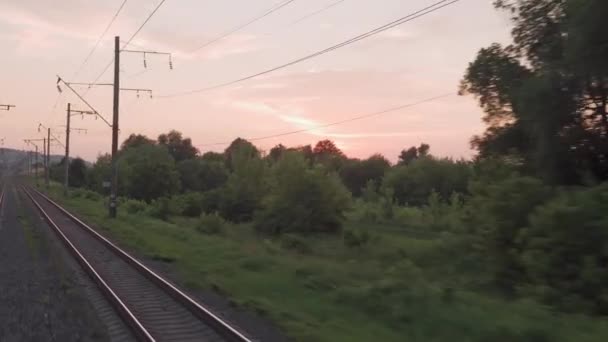 Widok z okna pociąg dużych prędkości na krajobraz pięknej przyrody dzikiego pola i torów kolejowych leśnych na wieczorny zachód słońca w tle lata. Transport, podróże, kolej, koncepcja komunikacji — Wideo stockowe