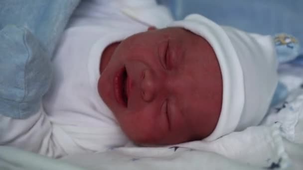 《宏观蓝底大哭》中可爱新生儿红脸肖像的特写。《帽子上生命的开始时刻的孩子》。婴儿、分娩、分娩的第一时间、开始概念 — 图库视频影像