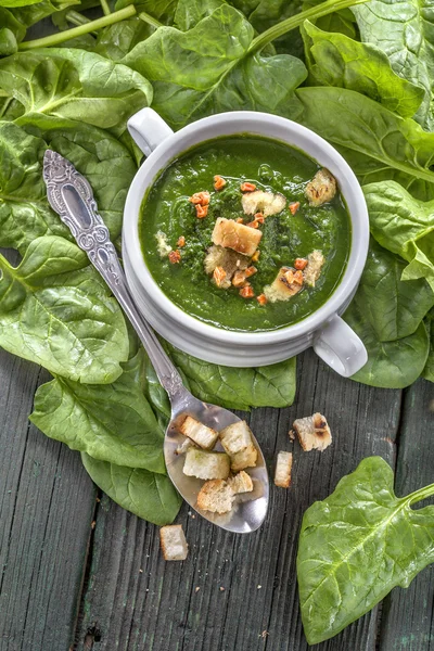 Spinazie potage soep — Stockfoto