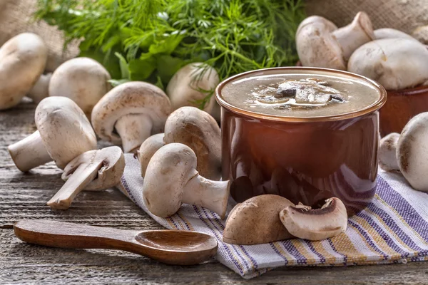 Mushrooms cream soup — Stock Photo, Image