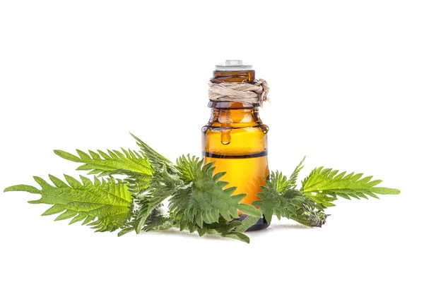 Essential oil made from nettle — Stock Photo, Image