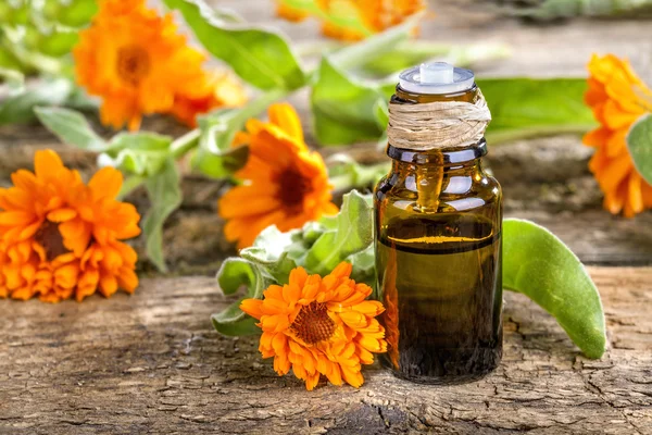 Aceite esencial para la salud y el cuidado del cuerpo —  Fotos de Stock