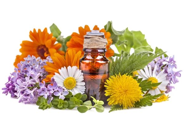 Esenciální oleje pro péči o zdraví a tělo — Stock fotografie