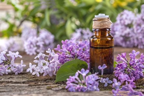 Huile essentielle pour la santé et les soins du corps — Photo