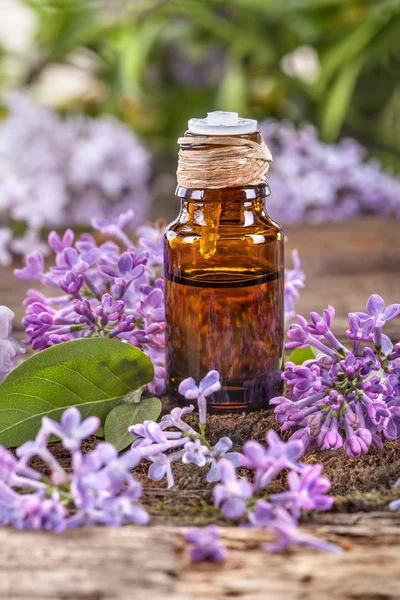 Aceite esencial para la salud y el cuidado del cuerpo —  Fotos de Stock