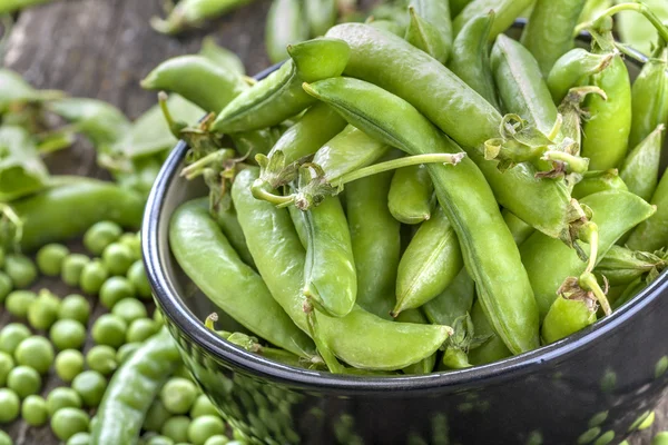 Świeżo zebranych organicznych groch — Zdjęcie stockowe