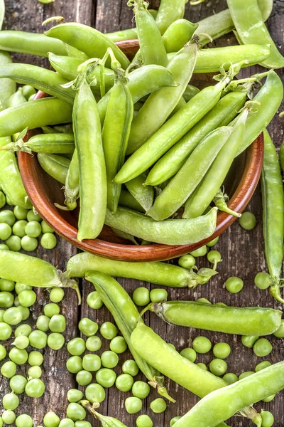 Świeżo zebranych organicznych groch — Zdjęcie stockowe