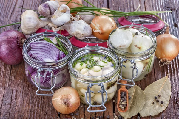 Onion, garlic and red onion — Stock Photo, Image