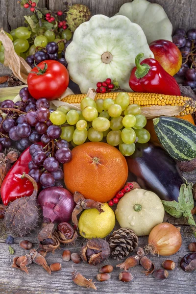 Frutas de otoño — Foto de Stock
