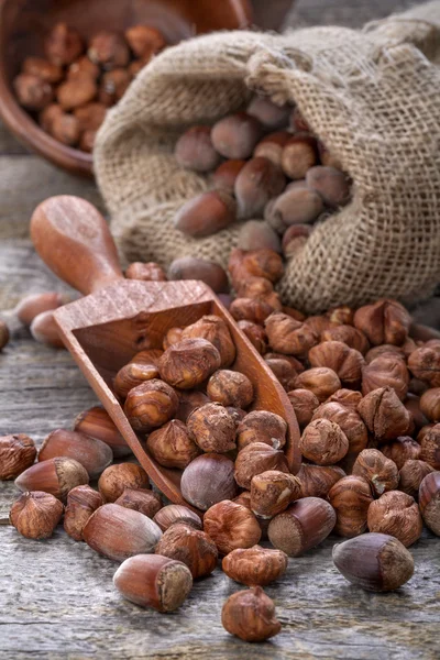 Domestic hazelnuts on a spoon — Stock Photo, Image