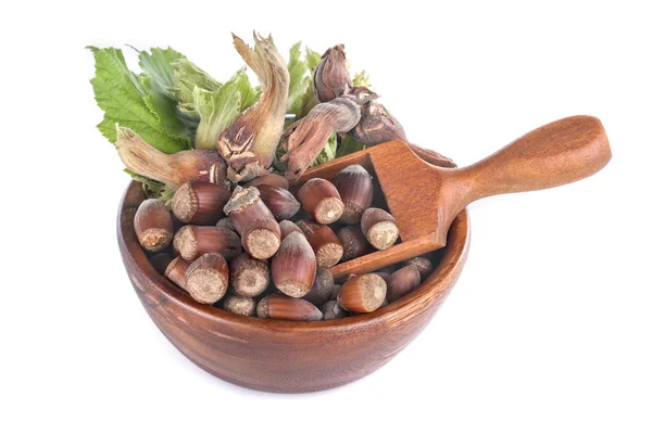 Hazelnuts on white — Stock Photo, Image