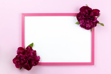 Temiz beyaz merkezli pembe dikdörtgen çerçeve ve pastel pembe arka planda şakayıklar, kopyalama alanı. Düz ya da yan görünüm, en az stil modeli. Hediyelik eşya dükkanı, sosyal medya, web sitesi tasarımı.