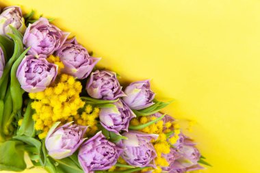 Sarı arka planda leylak laleleri ve sarı mimozalar. Kopya alanı, üst manzara, yakın çekim. 8 Mart, 14 Şubat, doğum günü, sevgililer günü, anneler günü, kadınlar günü kutlaması, bahar konsepti.