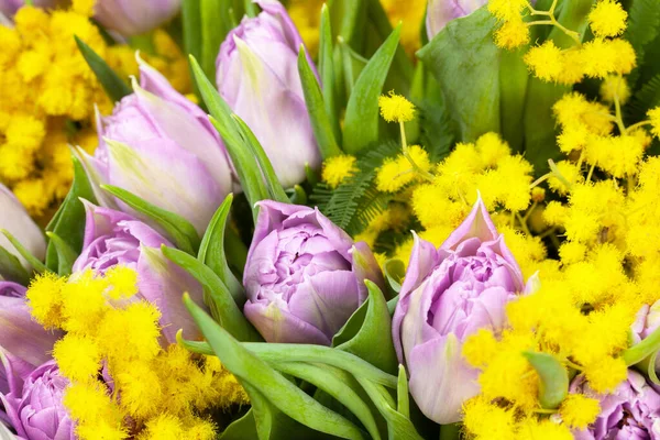 Bir buket leylak lalesi ve sarı mimozalar, makro, yan görüş, yakın çekim. 8 Mart, 14 Şubat, doğum günü, sevgililer günü, anneler günü, kadınlar günü kutlaması, bahar konsepti. Tebrik kartı veya duvar kağıdı için.