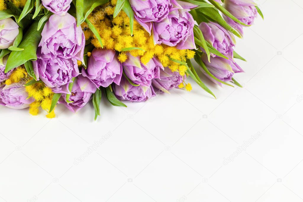 Bouquet of lilac Double Flag tulips, yellow mimosas on white background, copy space, side view, closeup. March 8, February 14, birthday, Valentine's, Mother's, Women's day celebration, spring concept.