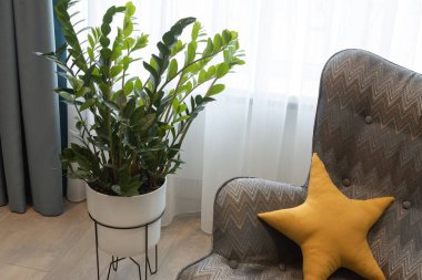 Tarafsız renklerle modern iç mekan, detaylar. Geometrik koltuk, yıldız şeklinde yastık, dinlenme alanı, saksı bitkisi. Gençler için çocuk odası. Ev dekorasyonunda tasarım çözümleri kavramı.