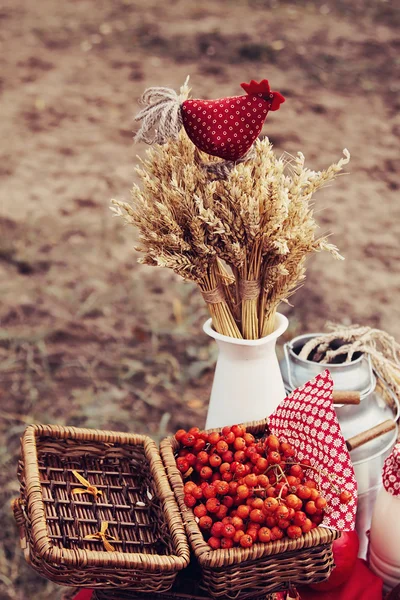 Landelijk — Stockfoto