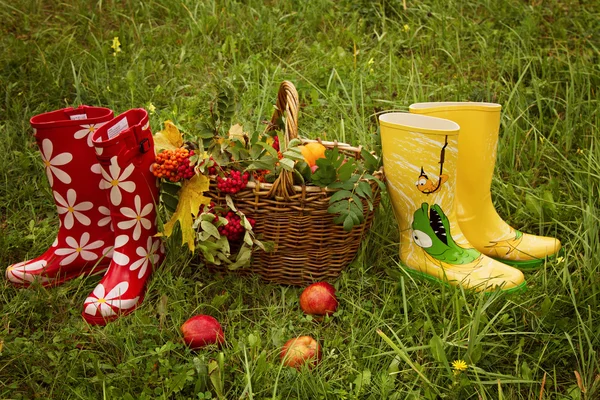 Decoração de verão — Fotografia de Stock