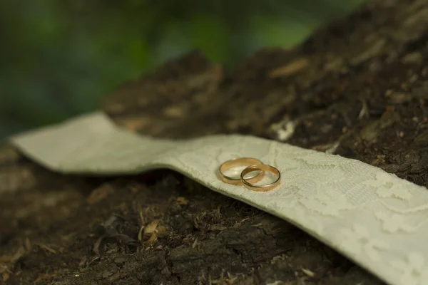 Dia do casamento — Fotografia de Stock