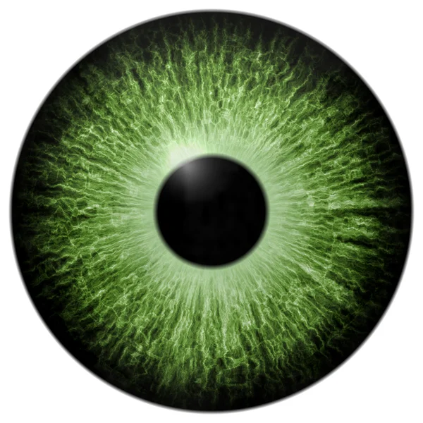 Illustration of green eye — Stock Photo, Image