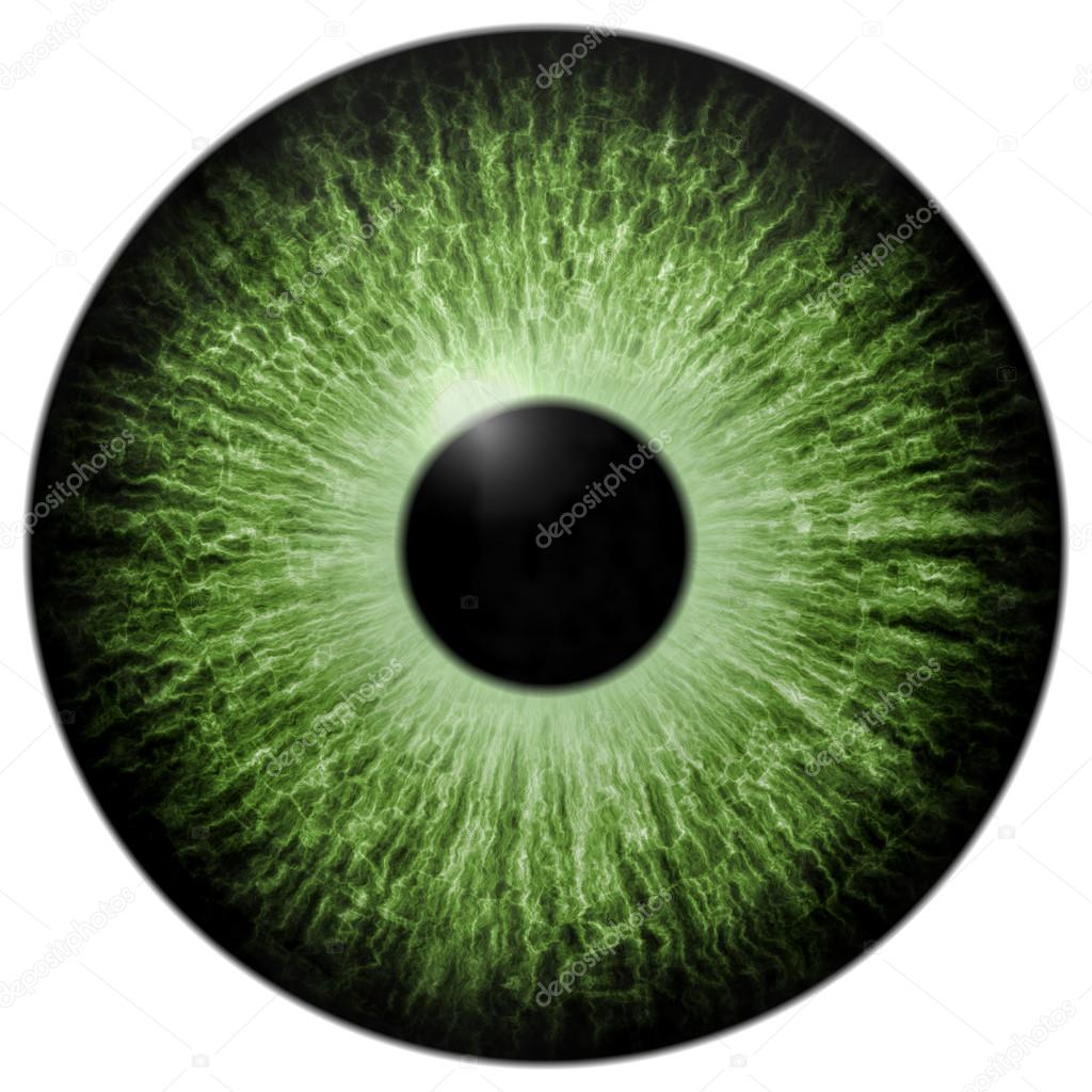 Illustration of green eye