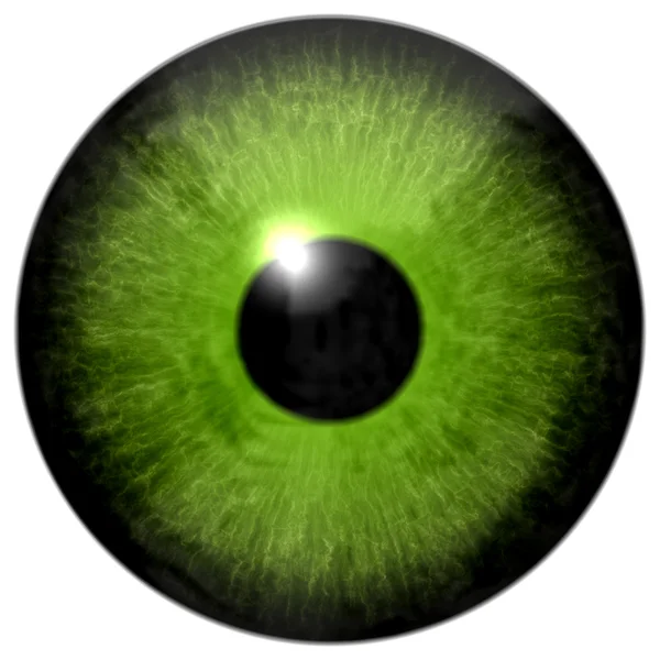 Isolated green eye illustration — Stockfoto