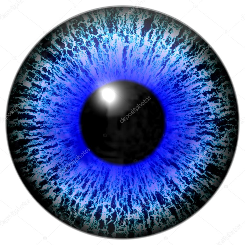 Isolated illustration of blue eye
