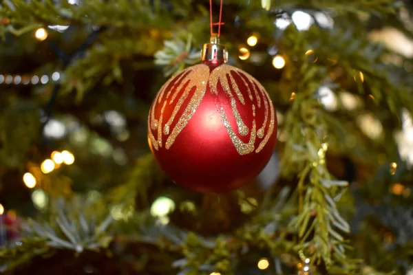松の木に吊るされた赤い玉飾り クリスマスツリーの装飾 — ストック写真